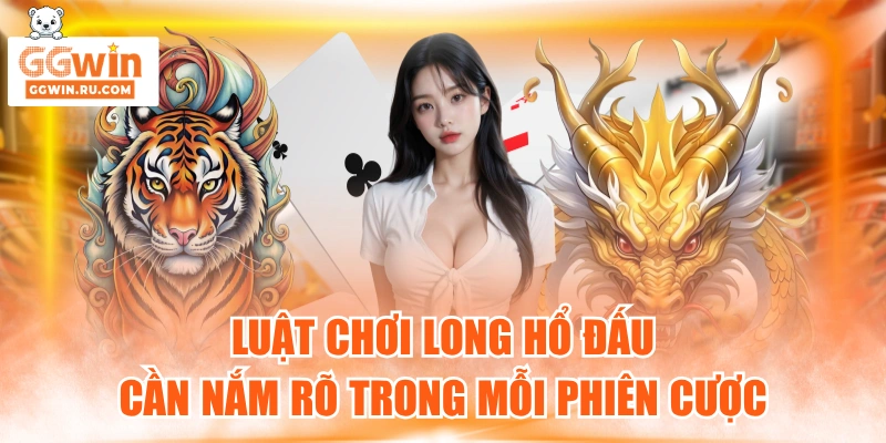 Long Hổ Đấu